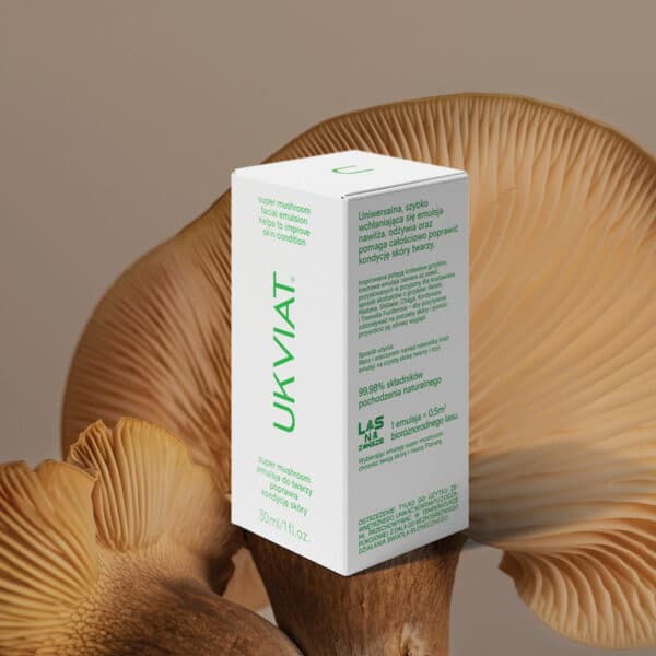 Super mushroom - Image 3