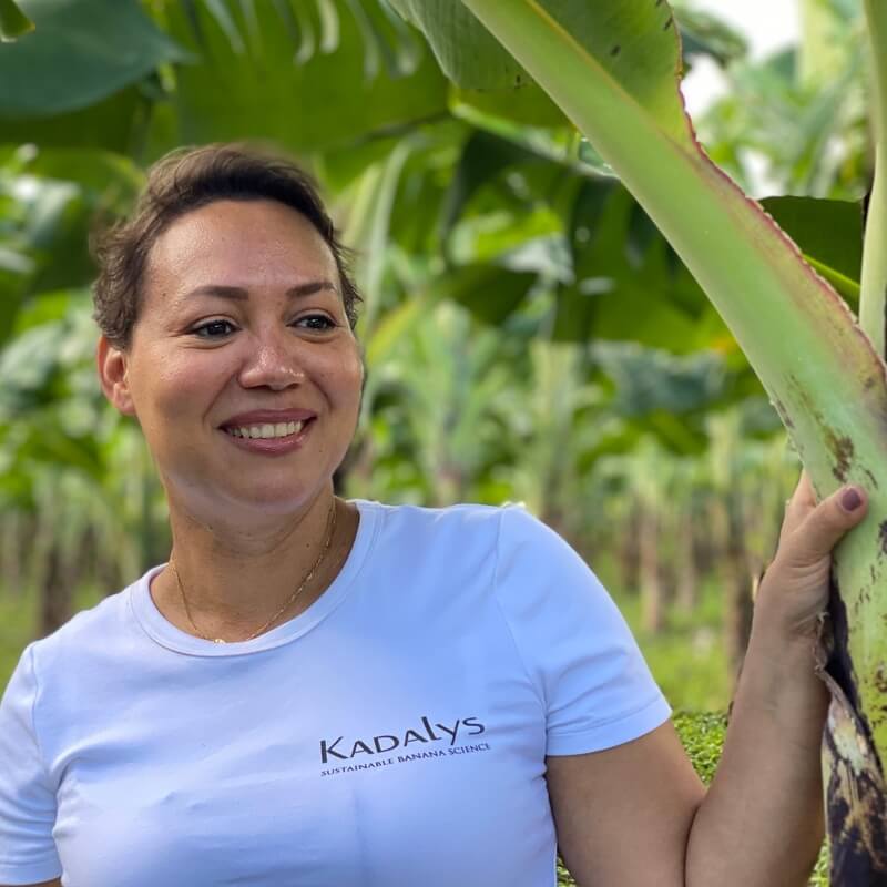 Kadalys